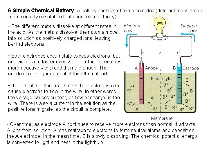 A Simple Chemical Battery: A battery consists of two electrodes (different metal strips) in
