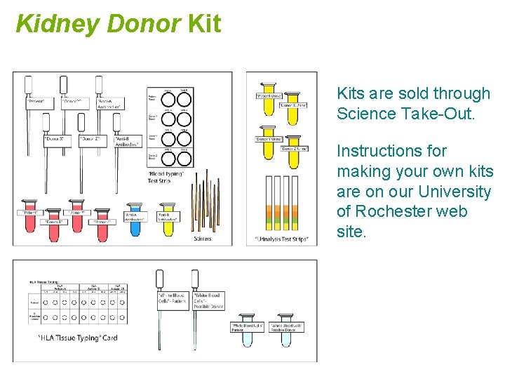 Kidney Donor Kits are sold through Science Take-Out. Instructions for making your own kits