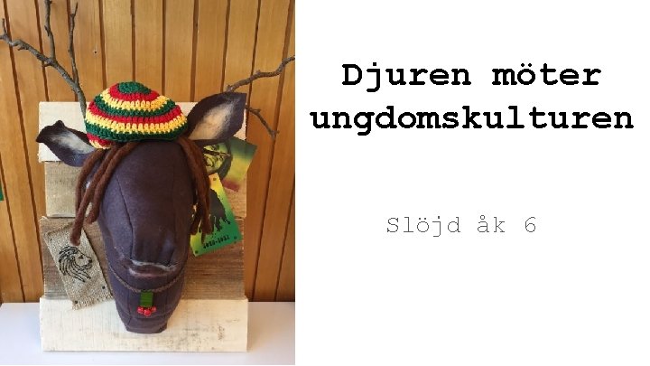 Djuren möter ungdomskulturen Slöjd åk 6 