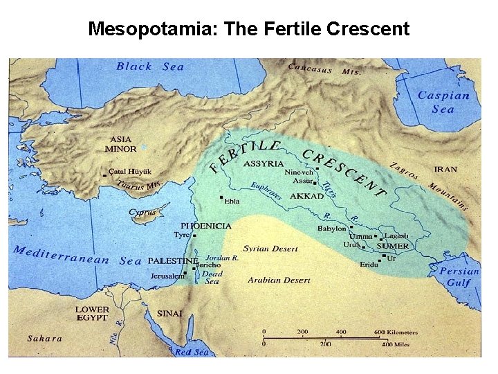 Mesopotamia: The Fertile Crescent 