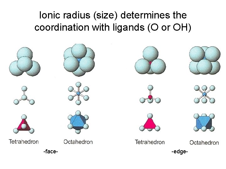 Ionic radius (size) determines the coordination with ligands (O or OH) -face- -edge- 