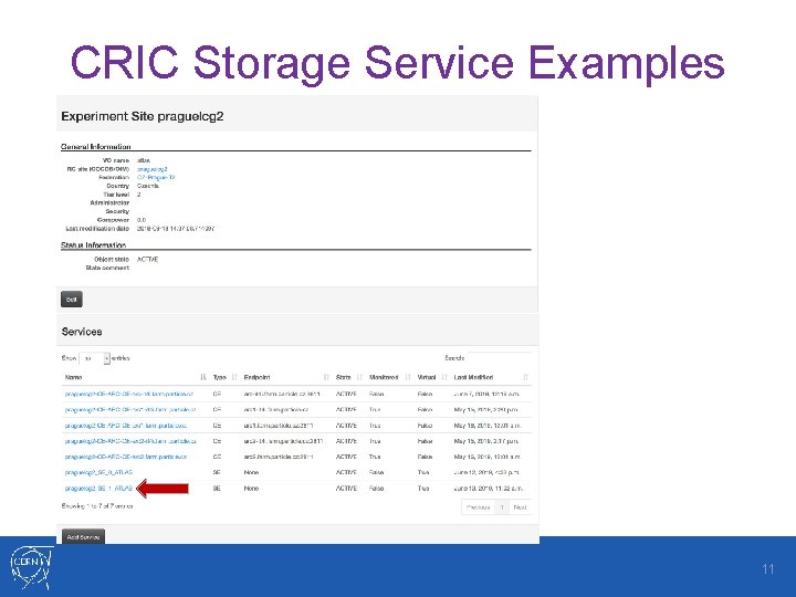 CRIC Storage Service Examples 11 