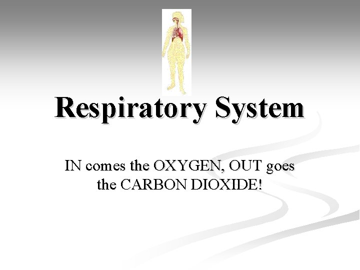 Respiratory System IN comes the OXYGEN, OUT goes the CARBON DIOXIDE! 