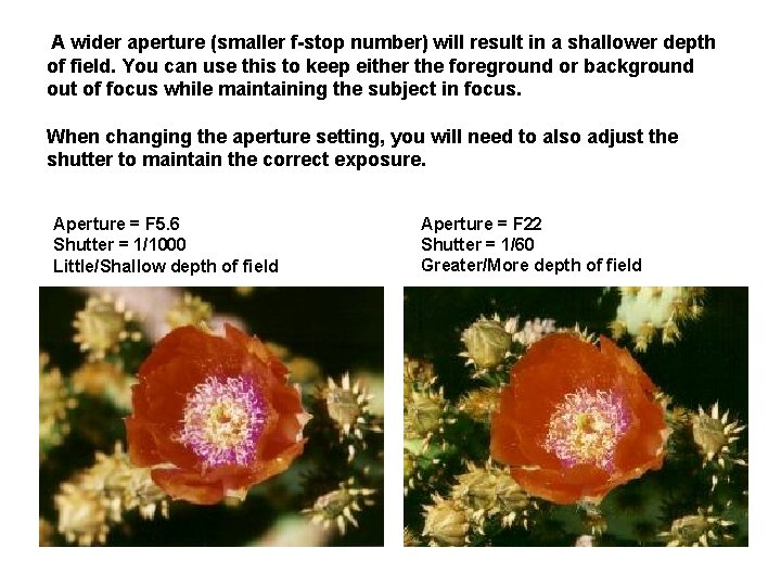 A wider aperture (smaller f-stop number) will result in a shallower depth of field.
