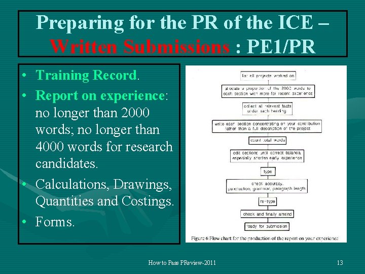 Preparing for the PR of the ICE – Written Submissions : PE 1/PR •