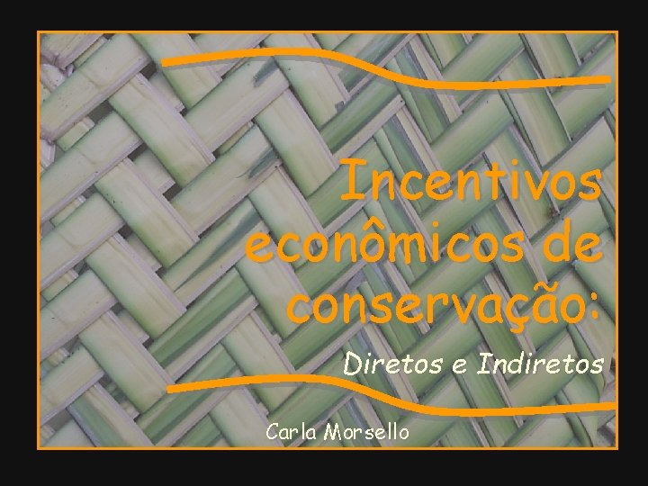 Incentivos econômicos de conservação: Diretos e Indiretos Carla Morsello 