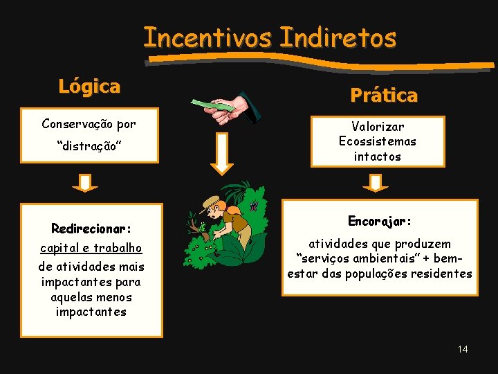 Incentivos Indiretos Lógica Conservação por “distração” Redirecionar: capital e trabalho de atividades mais impactantes