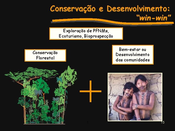 Conservação e Desenvolvimento: “win-win” Exploração de PFNMs, Ecoturismo, Bioprospecção Bem-estar ou Desenvolvimento das comunidades