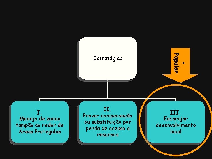 I. Manejo de zonas tampão ao redor de Áreas Protegidas II. Prover compensação ou