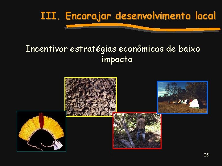 III. Encorajar desenvolvimento local Incentivar estratégias econômicas de baixo impacto 1 25 