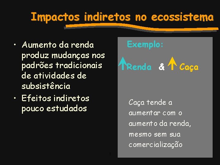 Impactos indiretos no ecossistema Exemplo: • Aumento da renda produz mudanças nos padrões tradicionais