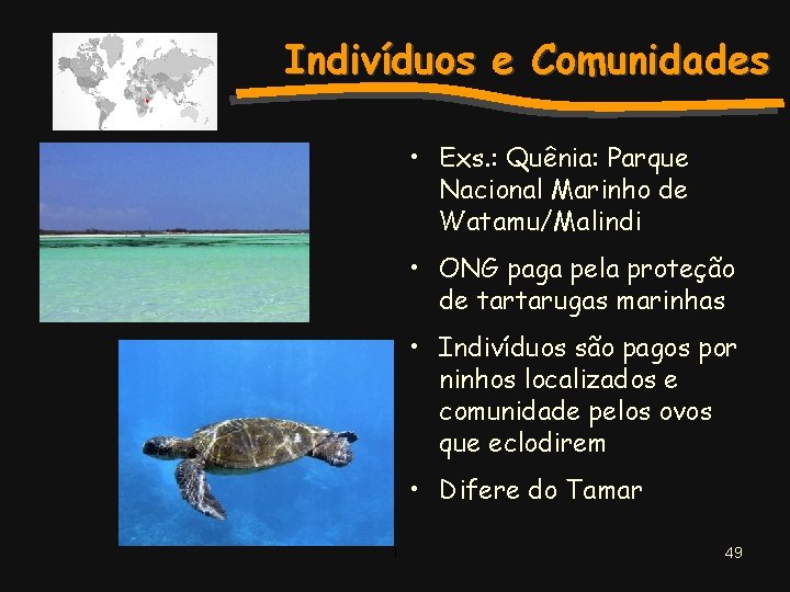 Indivíduos e Comunidades • Exs. : Quênia: Parque Nacional Marinho de Watamu/Malindi • ONG