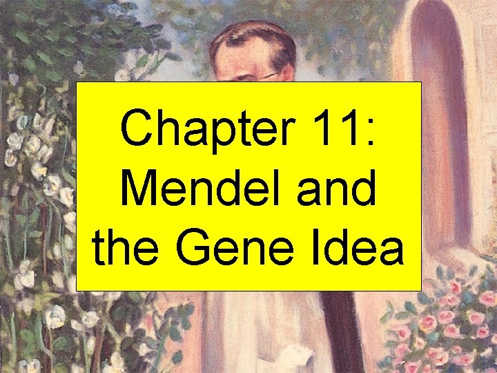 Chapter 11: Mendel and the Gene Idea 