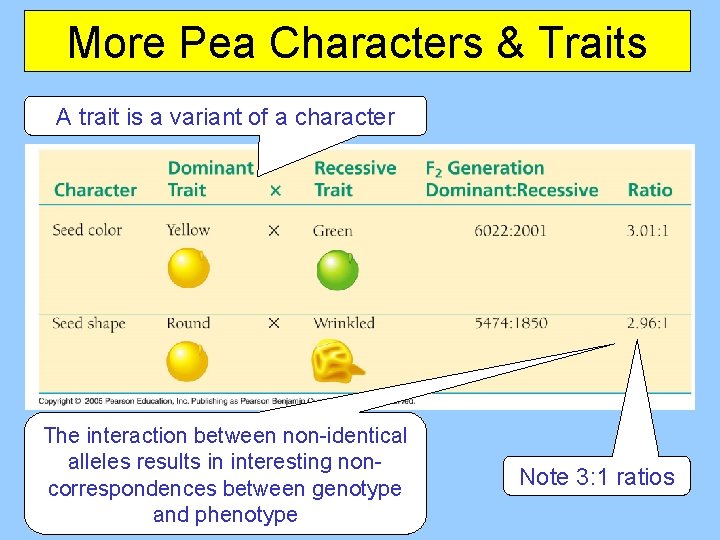 More Pea Characters & Traits A trait is a variant of a character The