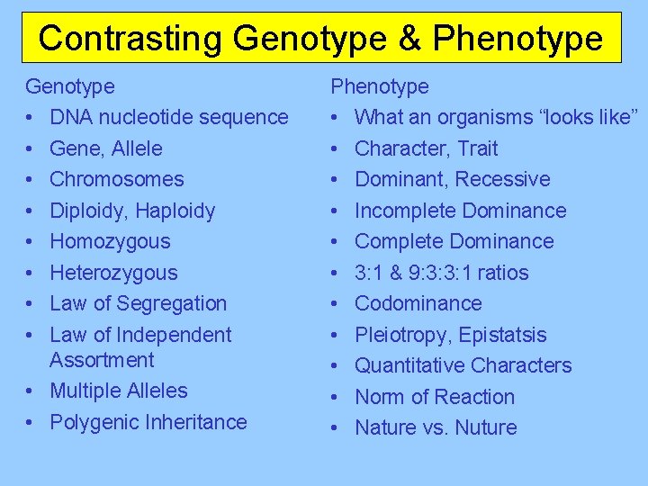 Contrasting Genotype & Phenotype Genotype • DNA nucleotide sequence • Gene, Allele • Chromosomes