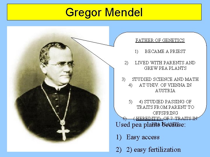 Gregor Mendel FATHER OF GENETICS 1) 2) 3) BECAME A PRIEST LIVED WITH PARENTS