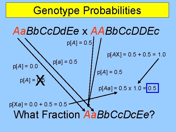 Genotype Probabilities Aa. Bb. Cc. Dd. Ee x AABb. Cc. DDEc p[A] = 0.