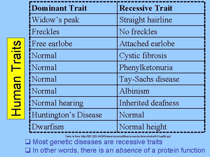 Human Traits Dominant Trait Widow’s peak Freckles Free earlobe Normal Normal hearing Huntington’s Disease