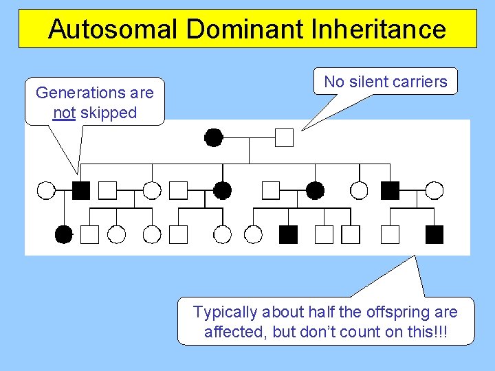 Autosomal Dominant Inheritance Generations are not skipped No silent carriers Typically about half the