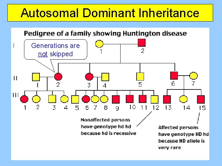 Autosomal Dominant Inheritance Generations are not skipped 