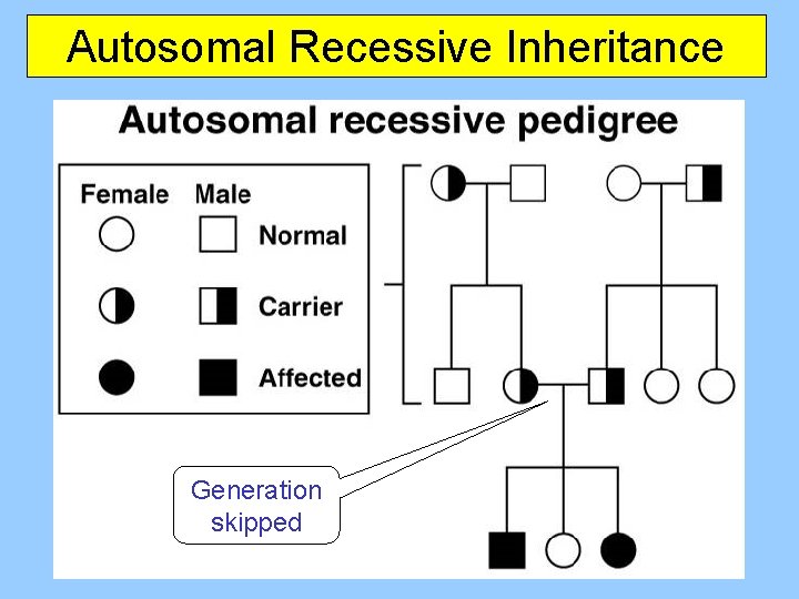 Autosomal Recessive Inheritance Generation skipped 