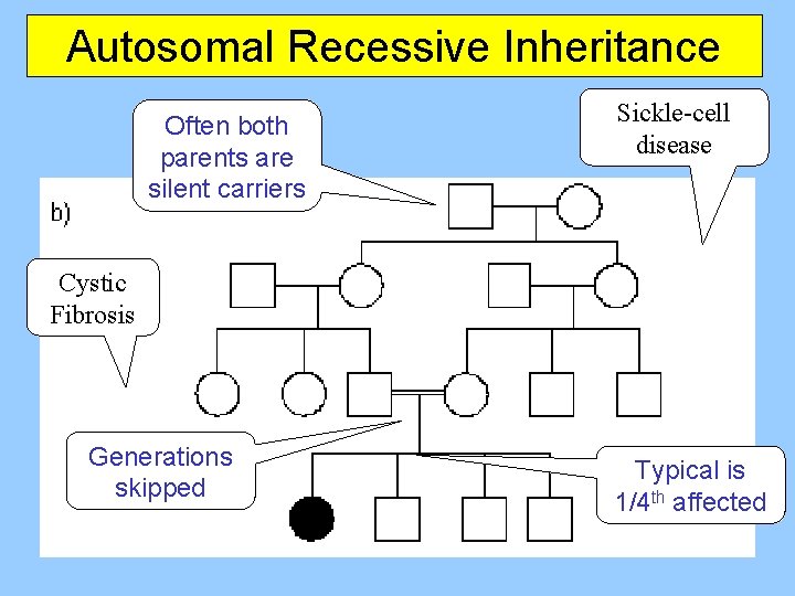 Autosomal Recessive Inheritance Often both parents are silent carriers Sickle-cell disease Cystic Fibrosis Generations