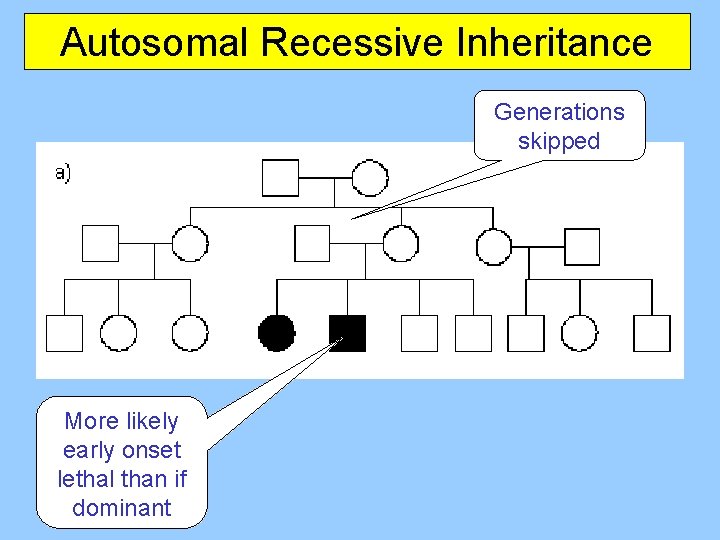 Autosomal Recessive Inheritance Generations skipped More likely early onset lethal than if dominant 