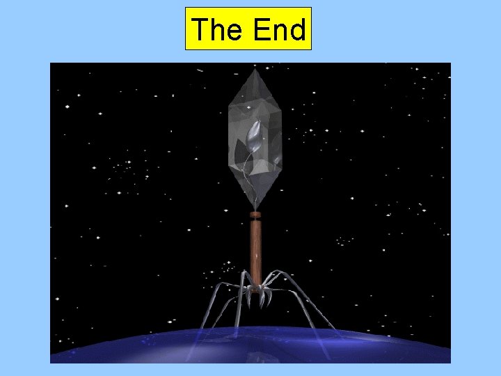 The End 