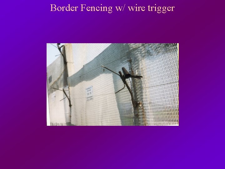 Border Fencing w/ wire trigger 