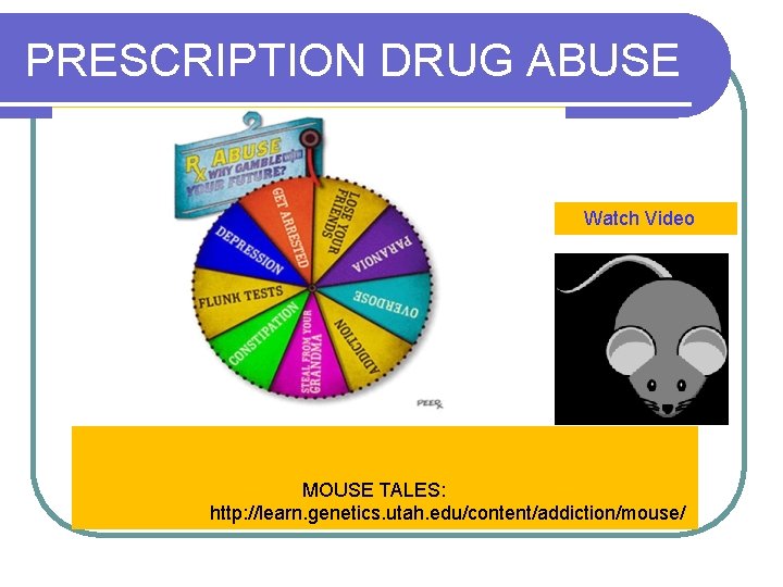 PRESCRIPTION DRUG ABUSE Watch Video MOUSE TALES: http: //learn. genetics. utah. edu/content/addiction/mouse/ 