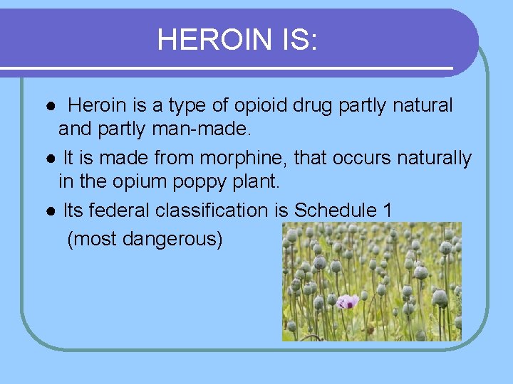 HEROIN IS: ● Heroin is a type of opioid drug partly natural and partly