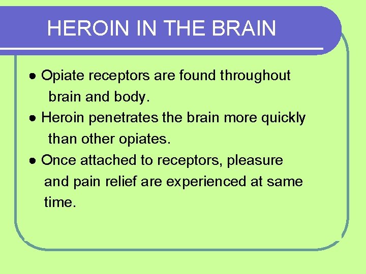 HEROIN IN THE BRAIN ● Opiate receptors are found throughout brain and body. ●