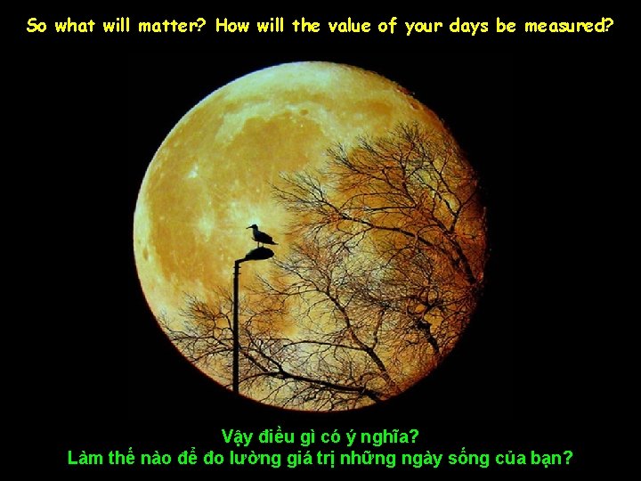 So what will matter? How will the value of your days be measured? Vậy