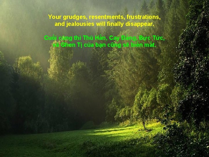 Your grudges, resentments, frustrations, and jealousies will finally disappear. Cuối cùng thì Thù Hằn,