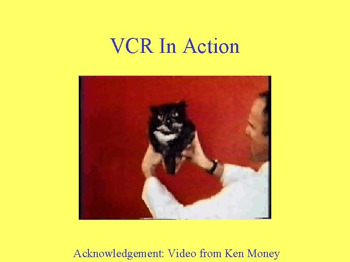 VCR In Action Acknowledgement: Video from Ken Money 