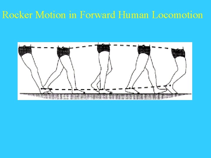 Rocker Motion in Forward Human Locomotion 