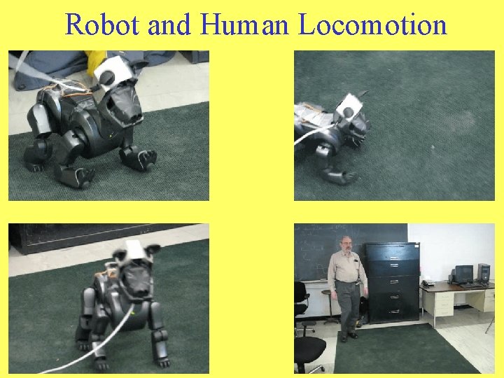 Robot and Human Locomotion 