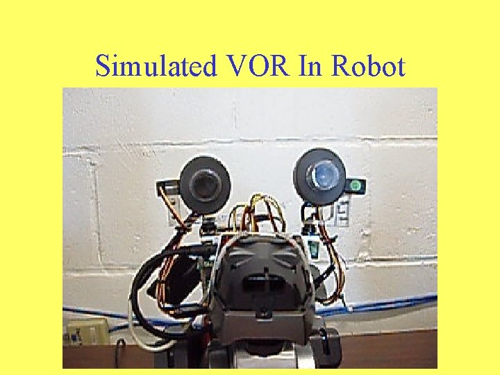 Simulated VOR In Robot Simulated VOR In Robot