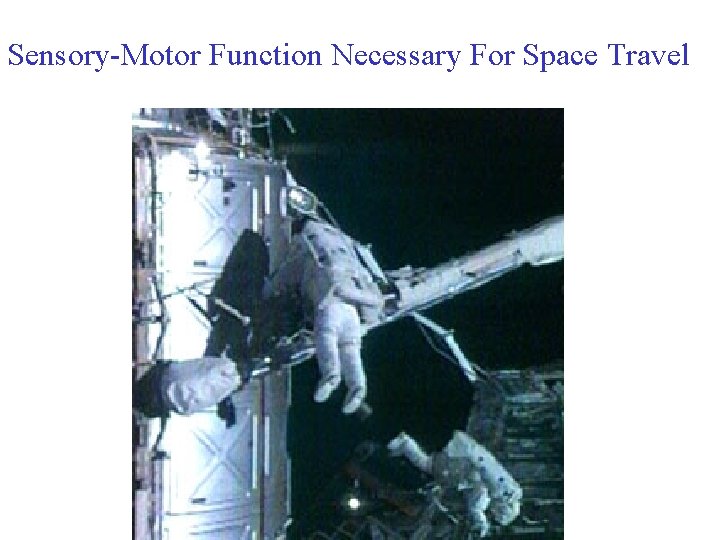 Sensory-Motor Function Necessary For Space Travel 