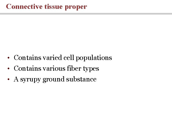 Connective tissue proper • Contains varied cell populations • Contains various fiber types •