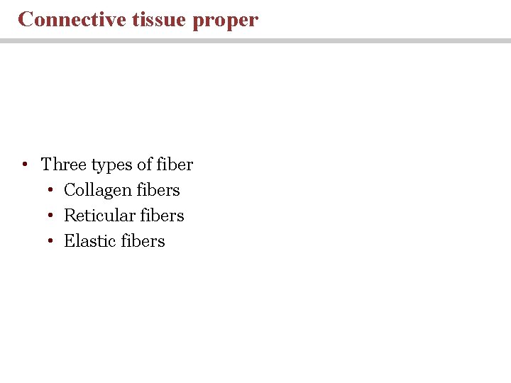 Connective tissue proper • Three types of fiber • Collagen fibers • Reticular fibers