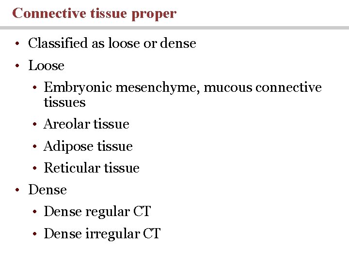 Connective tissue proper • Classified as loose or dense • Loose • Embryonic mesenchyme,