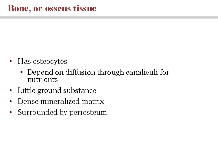 Bone, or osseus tissue • Has osteocytes • Depend on diffusion through canaliculi for
