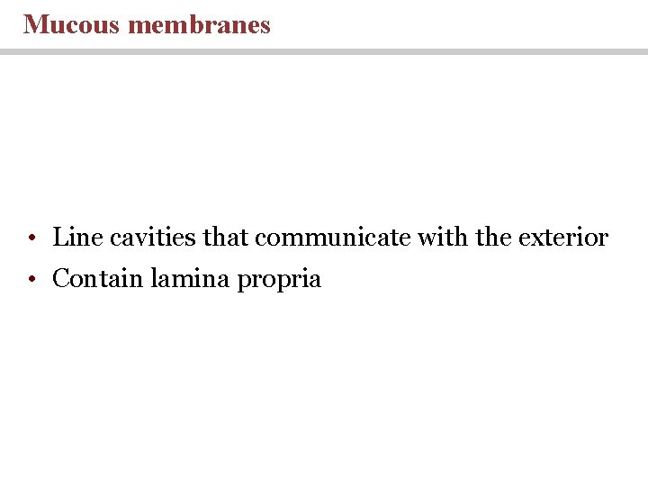 Mucous membranes • Line cavities that communicate with the exterior • Contain lamina propria