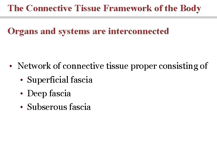 The Connective Tissue Framework of the Body Organs and systems are interconnected • Network