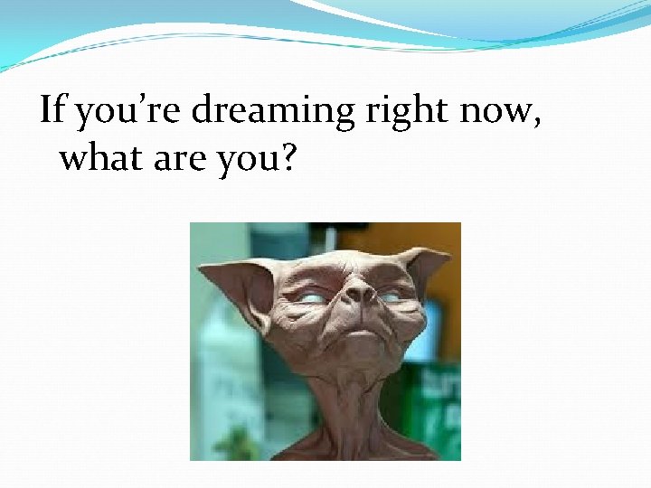 If you’re dreaming right now, what are you? If you’re dreaming right now, what are you?