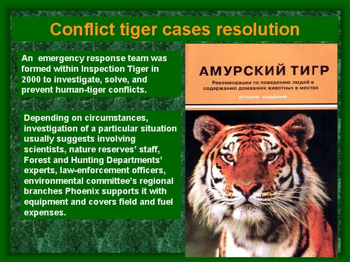 Conflict tiger cases resolution An emergency response team was formed within Inspection Tiger in