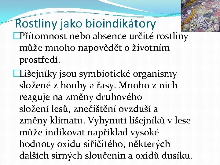 Rostliny jako bioindikátory �Přítomnost nebo absence určité rostliny může mnoho napovědět o životním prostředí.