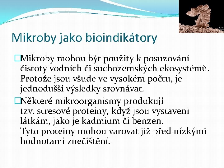 Mikroby jako bioindikátory �Mikroby mohou být použity k posuzování čistoty vodních či suchozemských ekosystémů.