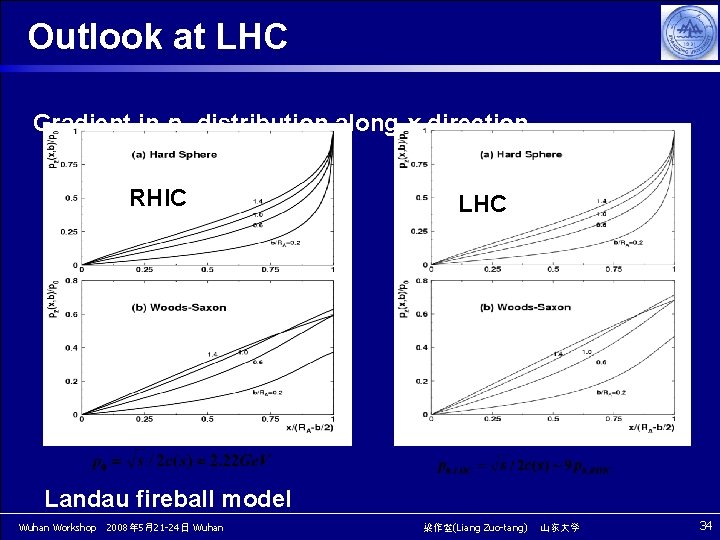 Outlook at LHC Gradient in pz-distribution along x-direction RHIC LHC Landau fireball model Wuhan